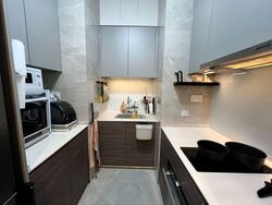Stirling Residences (D3), Apartment #566644301